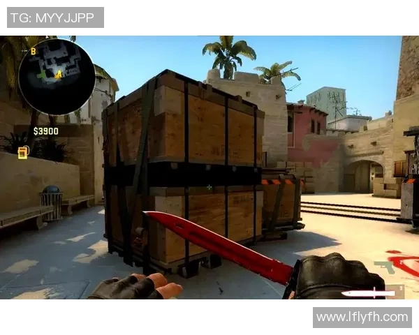 V5战队在CSGO比赛中的防守策略分析与成败得失探讨 V5战队在CSGO比赛中的防守策略分析与成败得失探讨